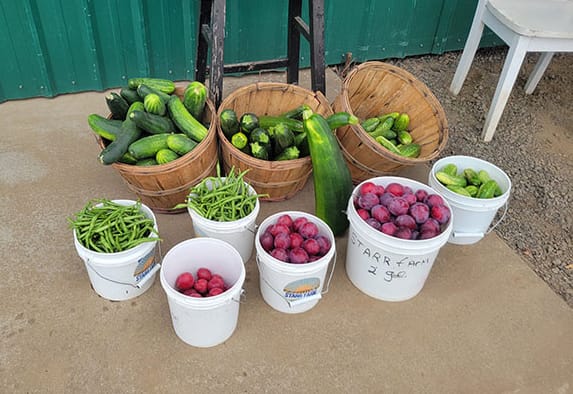 A Summer of Harvest